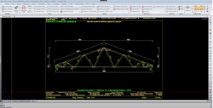 Custom Entities in Framecad Steelwise Software how-to video